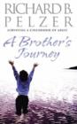 Image for A brother&#39;s journey  : surviving a childhood of abuse