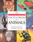 Image for The Little Brown encyclopedia of animals