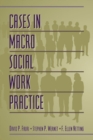 Image for Cases in Macro Social Work Practice