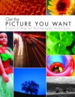 Image for Get the picture you want  : essential digital photography techniques