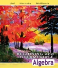 Image for Beginning and Intermediate Algebra Plus MyMathLab Student Access Kit
