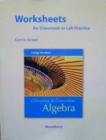 Image for Worksheets for Classroom or Lab Practice for Elementary and Intermediate Algebra