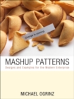 Image for Mashup patterns  : designs and examples for the modern enterprise