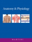 Image for Anatomy and Physiology with IP-10