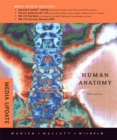 Image for Human Anatomy : Media Update