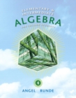 Image for Elementary &amp; intermediate algebra for college students