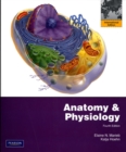 Image for Anatomy &amp; Physiology with Interactive Physiology 10-System Suite