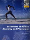 Image for Essentials of Human Anatomy &amp; Physiology