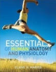 Image for Essentials of interactive physiology