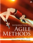 Image for Introduction to agile methods