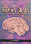 Image for The Human Brain in Photographs and Diagrams