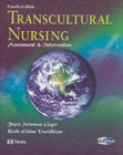 Image for Transcultural nursing  : assessment &amp; intervention