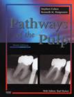 Image for Pathways of the pulp