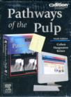 Image for Pathways of the pulp