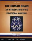 Image for The Nolte&#39;s the Human Brain