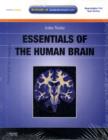 Image for Essentials of the Human Brain