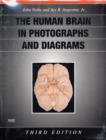 Image for The Human Brain in Photographs and Diagrams