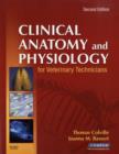 Image for Clinical Anatomy and Physiology for Veterinary Technicians