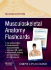 Image for Musculoskeletal Anatomy Flashcards