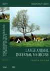 Image for Large animal internal medicine