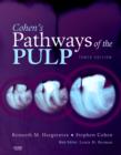 Image for Cohen&#39;s pathways of the pulp