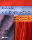 Image for Fundamentals of chiropractic.