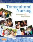 Image for Transcultural nursing  : assessment &amp; intervention