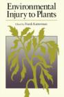 Image for Environmental injury to plants
