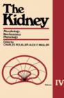 Image for Kidney Morphology, Biochemistry, Physiology
