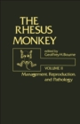 Image for The Rhesus Monkey