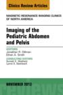 Image for Imaging of the Pediatric Abdomen and Pelvis, An Issue of Magnetic Resonance Imaging Clinics, : 21-4