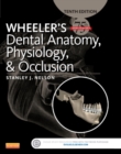 Image for Wheeler&#39;s Dental Anatomy, Physiology and Occlusion