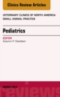 Image for Pediatrics: small animal practice
