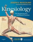 Image for Kinesiology: the skeletal system and muscle function