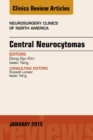 Image for Central Neurocytomas, An Issue of Neurosurgery Clinics of North America,