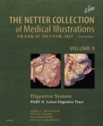 Image for Netter Collection of Medical Illustrations: Digestive System: Part II - Lower Digestive Tract