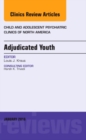Image for Adjudicated youth : Volume 25-1