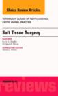 Image for Soft tissue surgery : Volume 19-1