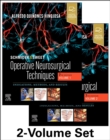 Image for Schmidek and Sweet&#39;s operative neurosurgical techniques  : indications, methods, and results