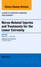 Image for Nerve Related Injuries and Treatments for the Lower Extremity, An Issue of Clinics in Podiatric Medicine and Surgery