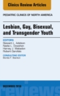 Image for Lesbian, gay, bisexual, and transgender youth : December 2016, Volume 63, Number 6