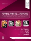 Image for Ferrets, rabbits, and rodents  : clinical medicine and surgery