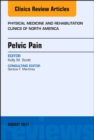Image for Pelvic Pain : Volume 28-3