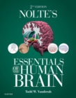 Image for Nolte&#39;s essentials of the human brain