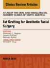 Image for Fat Grafting for Aesthetic Facial Surgery : 26-1