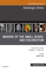 Image for Imaging of the small bowel and colorectum