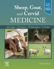 Image for Sheep, goat, and cervid medicine