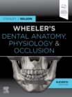 Image for Wheeler&#39;s Dental Anatomy, Physiology and Occlusion