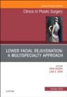 Image for Lower Facial Rejuvenation: A Multispecialty Approach, An Issue of Clinics in Plastic Surgery