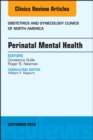 Image for Perinatal mental health : Volume 45-3